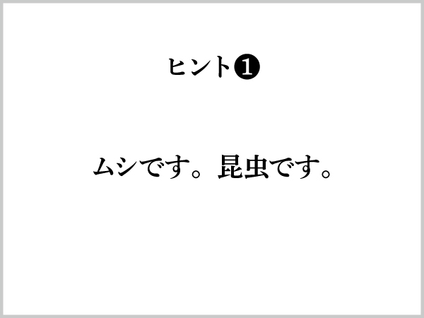 ヒント１：ムシです。昆虫です。