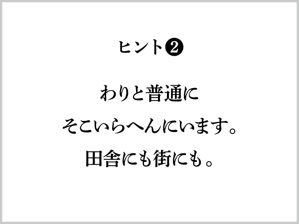 ヒント２：わりと普通にそこいらへんにいます。田舎にも街にも。